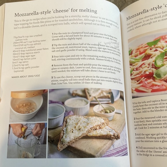 Vegan dairy book - Picture 5 of 5